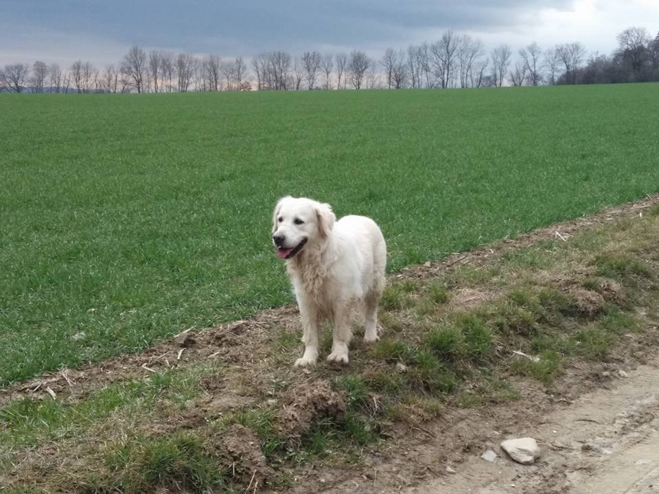 Valentina Libošovská blata