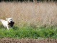 /album/fotogalerie/a13198647-945748975543039-3207299382914459934-o-jpg/